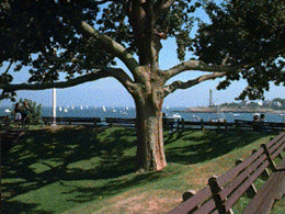 Fort Sewall