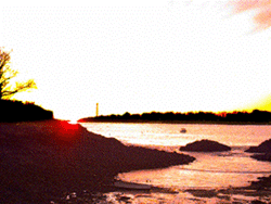 Fort Beach